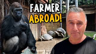 Dave's On Holiday… But He Can't Stop Looking at Animals 😄