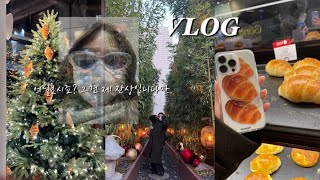 [vlog] 쫌쫌따리 모아 본 일상영상 / 크리스마스, 연말분위기 맘껏 즐기기🎄 / 아이쇼핑 너무 좋아