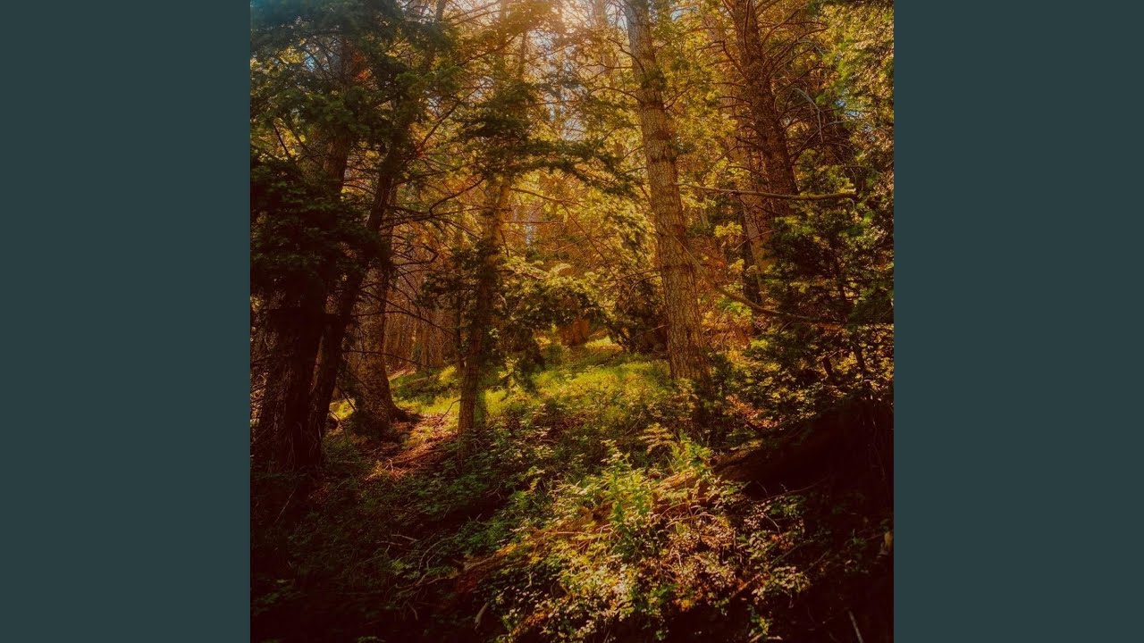 Watch TESSERACT on YouTube Watch TESSERACT on YouTube