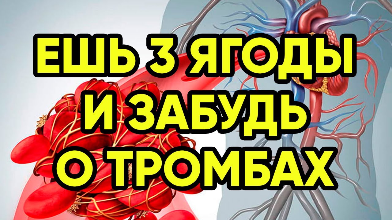Эти 3 ягоды позволят навсегда забыть о тромбах и густой крови (это надо знать)