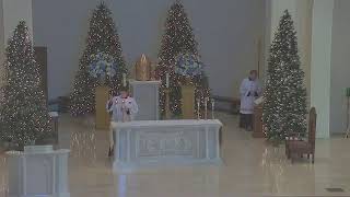Saint Mark the Evangelist Catholic Church (Live Stream)