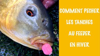 Comment Pêcher Les Tanches Au Feeder En Hiver 4K