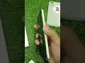 OPPO A59 5G Unboxing & First Look ⚡MediaTek Dimensity 6020,33W SUPERVOOC 90Hz Sunlight Display|#oppo