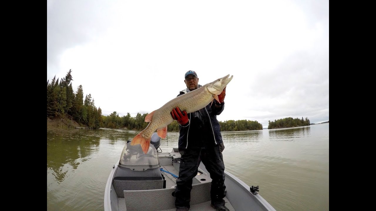 3 Musky SOLO (Epic Morning Tubes and Blades) 