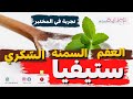 مح لي ستفيا مناسب و أمن تجربة في المختبر 