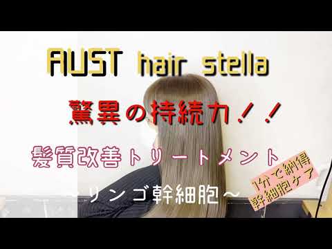 劇的before&after   リンゴ幹細胞を使った髪質改善メニュー‼️ AUSThair stella