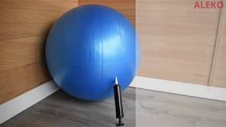 ALEKO Fitness Balance Yoga Ball with Pump