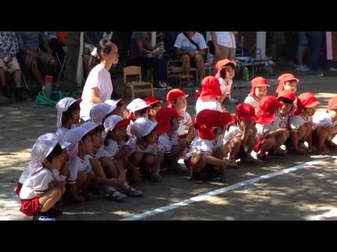 ななみ運動会４歳③