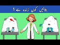 اردو پہلوان جوابات کے ساتھ زندہ کون ہے مضحکہ خیز پہیلی اپنی منطق کو جانچنے کے لیے مشکل پہیلیاں