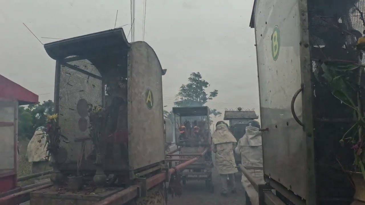 2026鹽水蜂炮 15下午場 南廈山莊2