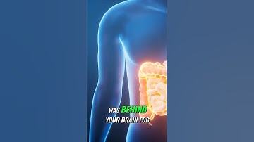 Gut Health: The Unexpected Cause of Brain Fog?