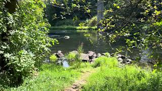 USA, West Linn, Oregon, August 2025, Willamette Park, Tualatin River, Trail Walk Part 3