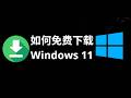 如何免费下载Windows 11 – 官方方法