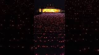 Einfach traumhaft schön. Lichtspiel im Christmas Garten in Dresden #christmas #shorts #light