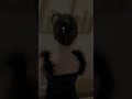 Hair Accessories/Headwear! 😱 #clips #shorts #tiktok #trending