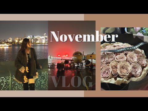 November Vlog｜装饰圣诞树🎄｜闪现回国｜十一月流水账