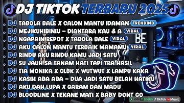DJ TIKTOK TERBARU 2025🎵DJ TABOLA BALE X CALON MANTU IDAMAN🎵DJ MEJIKUHIBINIU FULL ALBUM