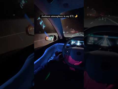POV: Nightdrive in