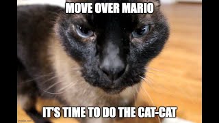 The Cat-Cat