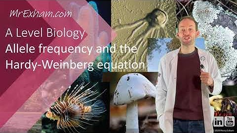 Hardy-Weinberg Equation and allele frequencies - A Level Biology