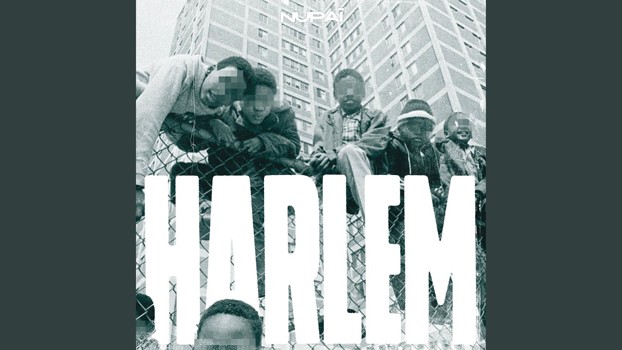 Guarda Harlem su YouTube Guarda Harlem su YouTube