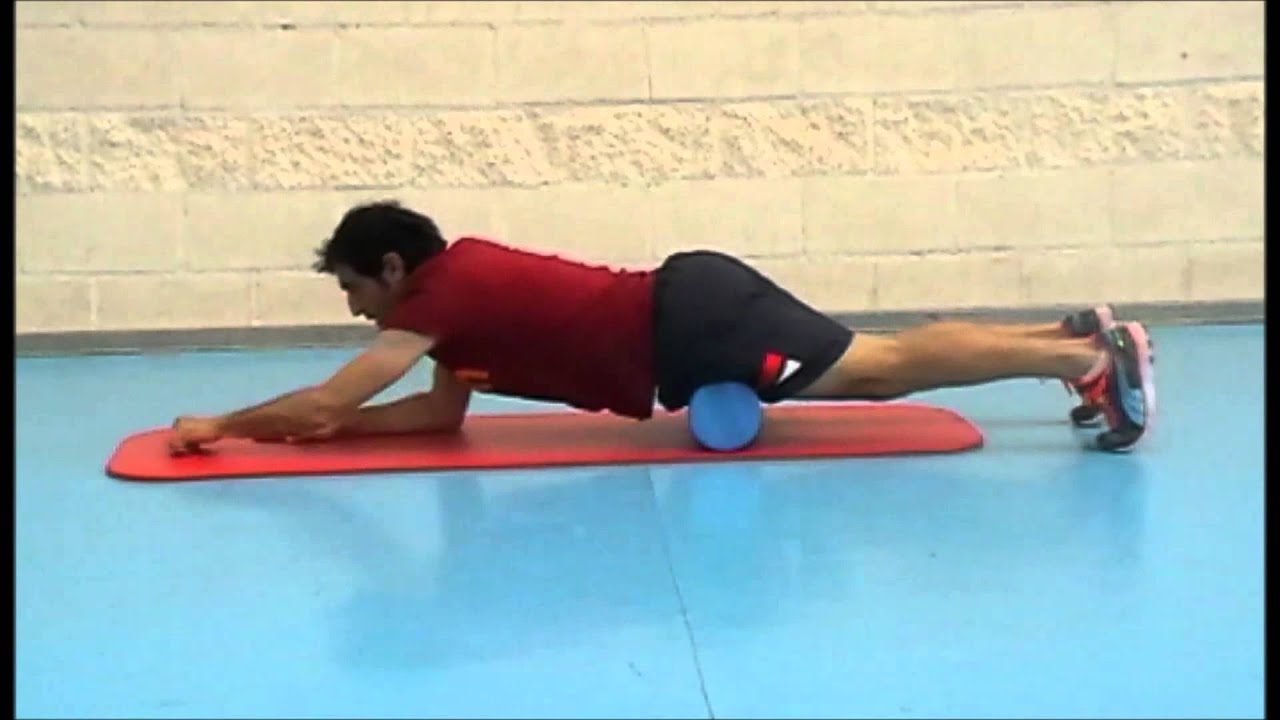 Que es muslo anterior Que es muslo anterior