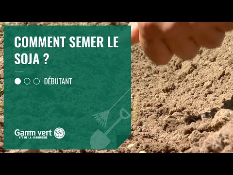Vidéo: À propos des plants de soja - Conseils pour cultiver du soja dans les jardins