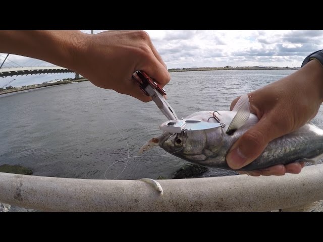 BLUEFISH HAVE INFESTED THE WATERS!!!!! (Inlet Fishing with Bladebaits) 