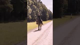 Mule Cantering Asmr