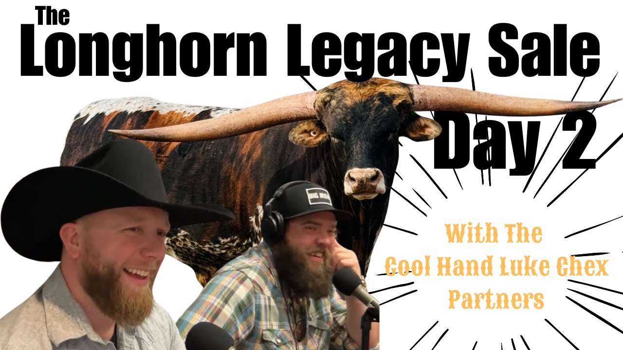 LIVE from The Longhorn Legacy Sale DAY 2! YouTube