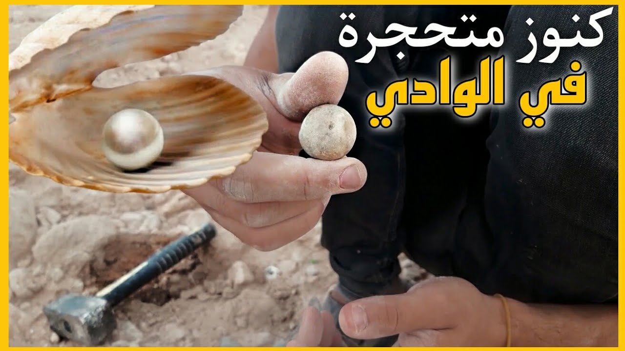 ! Окаменевшие сокровища