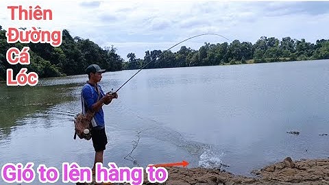 Câu cá lóc_Bãi Thiên Đường gió như bão nhưng vẫn lên hàng @Hữunghị tv