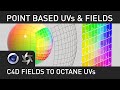 Silverwing: Point Based UVs with Fields in Octane