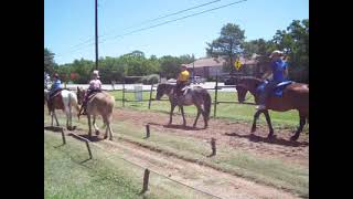 Ponyland, Angleton, Texas