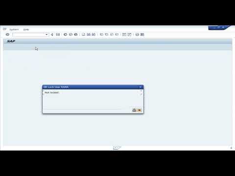 Lock and Unlock user in SAP