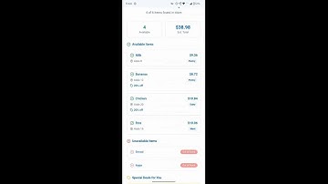 WalNav: AI Powered Navigation/Shopping Assistance | Walmart Sparkathon 2025
