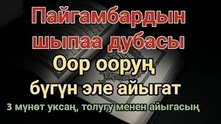 картинка: Пайгамбардын дубасы — 3 мүнөттө айыгасың! Угуп коюу эле жетиштүү