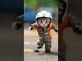 Speed racer cat with turbo dance moves