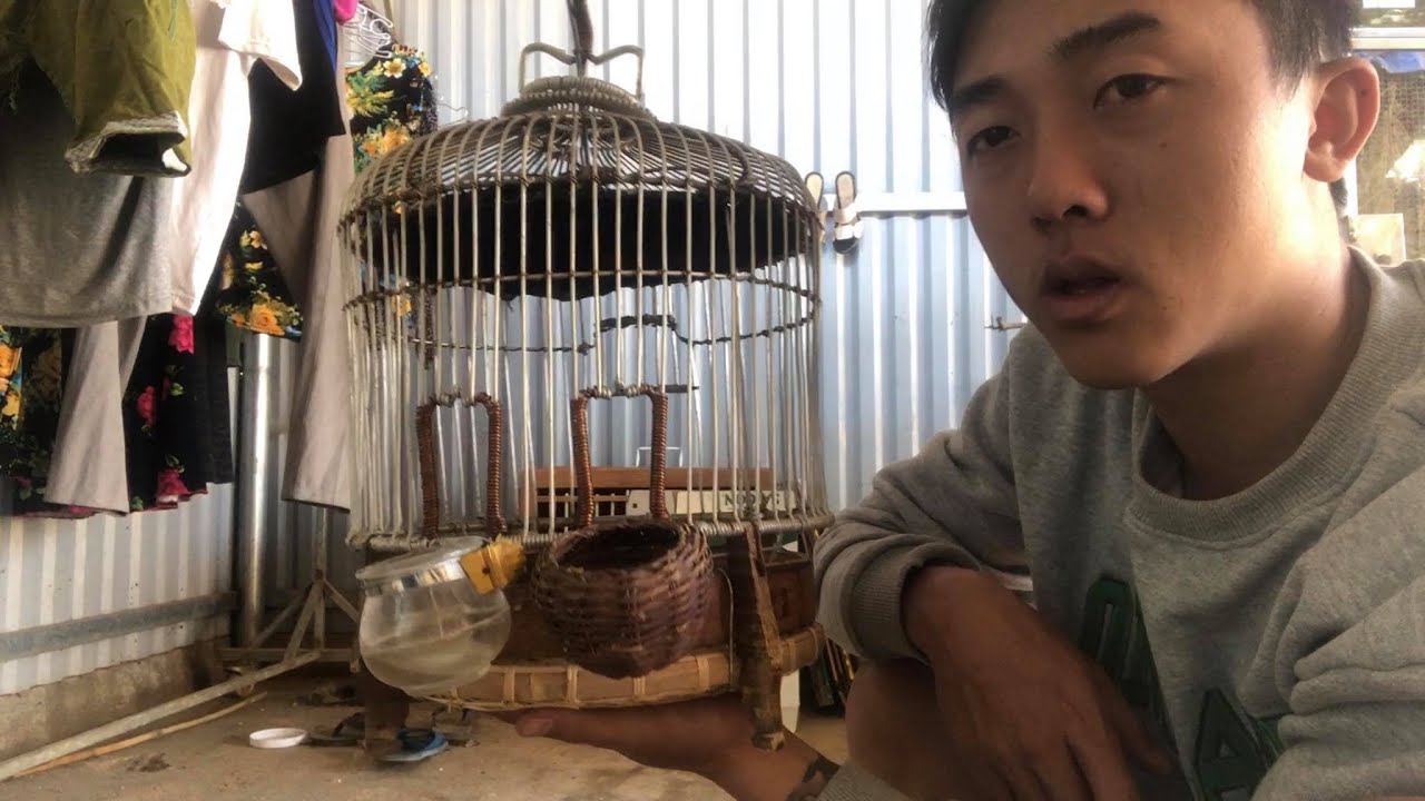 NHỮNG SAI LẦM NGHIÊM TRỌNG KHI NUÔI CHIM ĐA ĐA