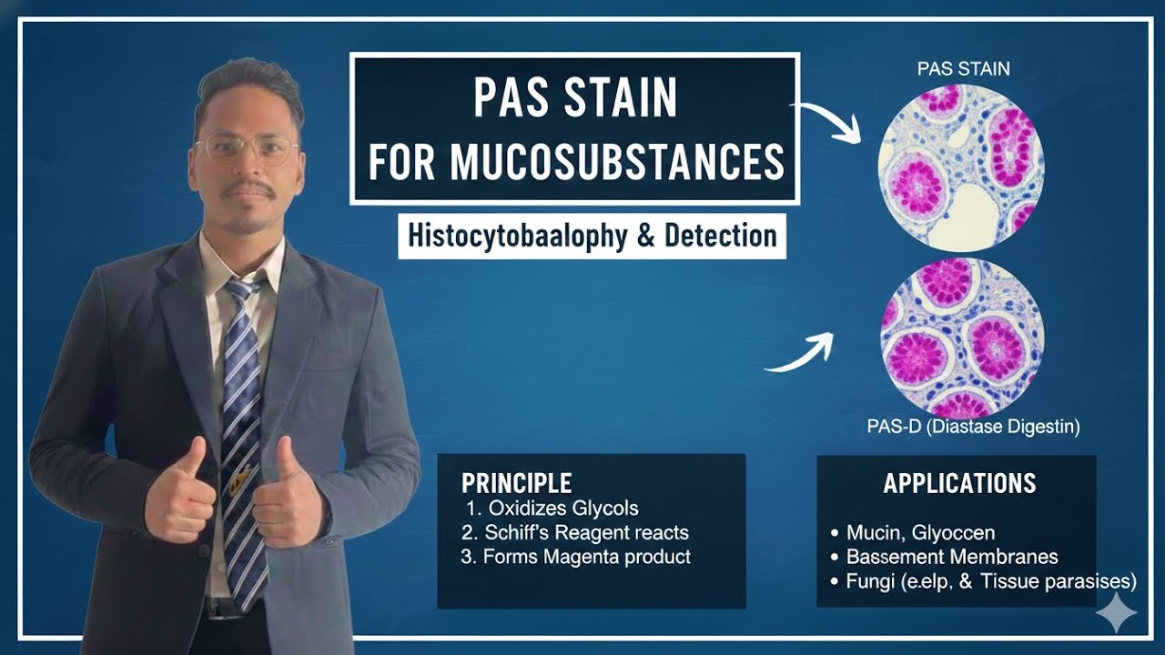 Periodic Acid–Schiff (PAS) Stain: Classical Demonstration of Carbohydrates and Neutral Mucins