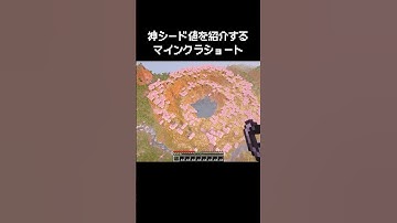 マイクラショートでよく見る神シード値を紹介してくれるやつ