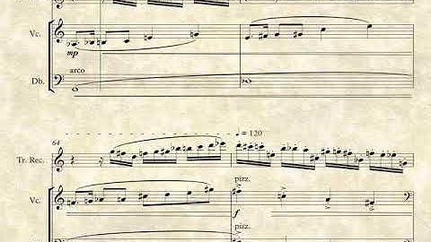 Concerto for Recorder and Strings (2019) First Movement