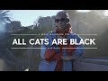 All Cats are Black