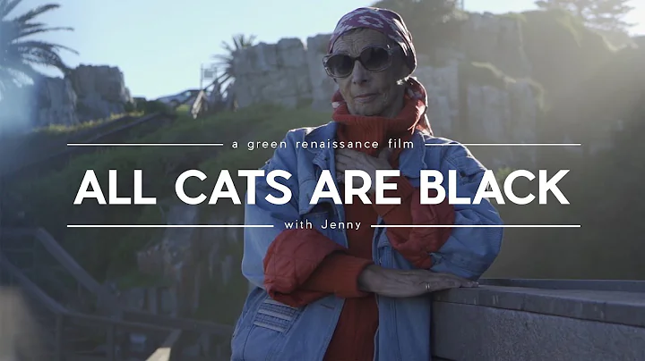 ALL CATS ARE BLACK - It's Not How One Looks That I...