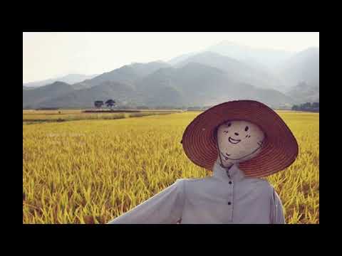 참새와 허수아비