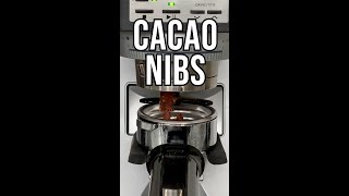 Will It Brew Ep. 4: Cacao Nibs Shorts