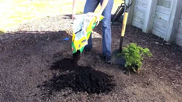 Quelle Epaisseur de bonne terre pour un jardin ?