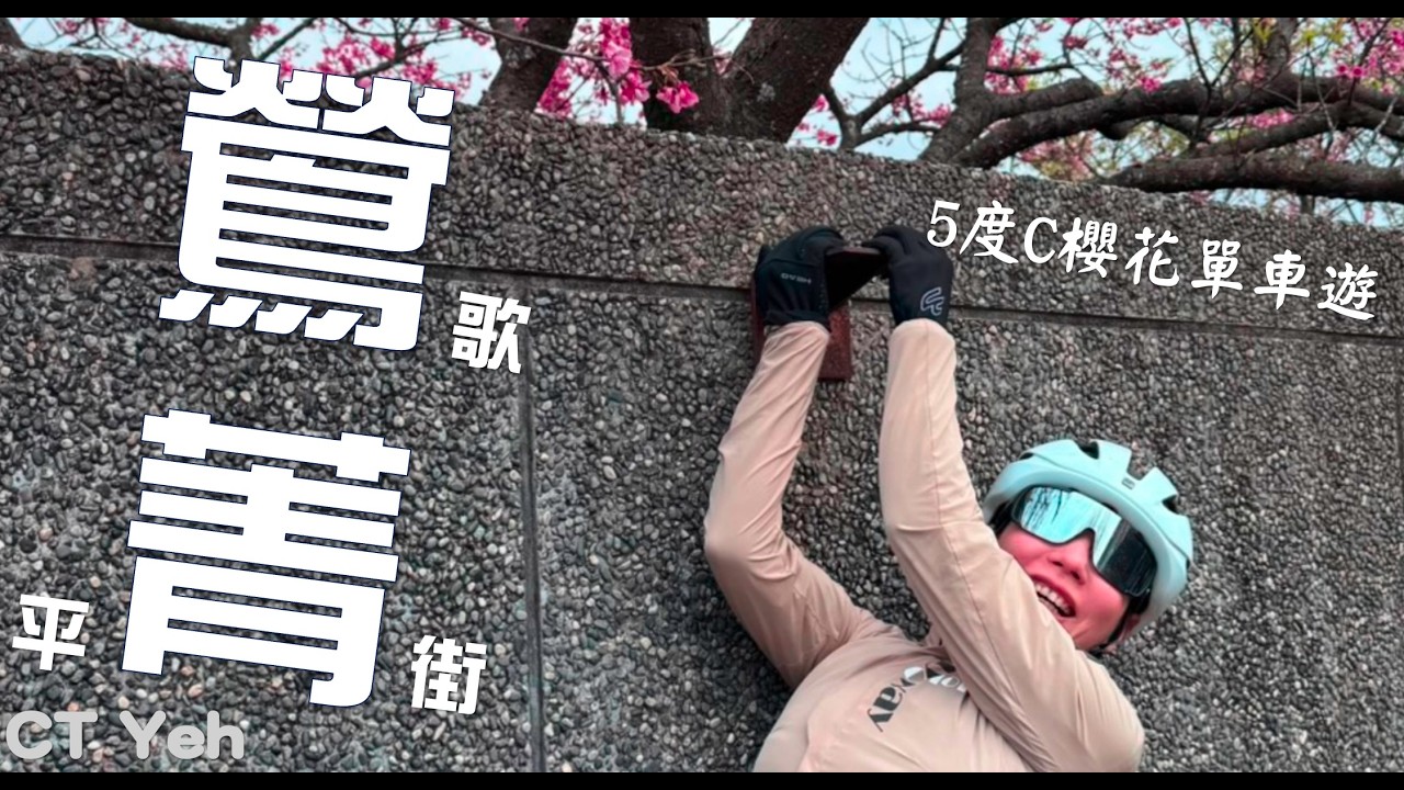 5 ℃  櫻花之旅 / 75萬單車直接雨中洗車.../ 平菁街 / 北迴歸小隊 / 公路車 / CT Yeh