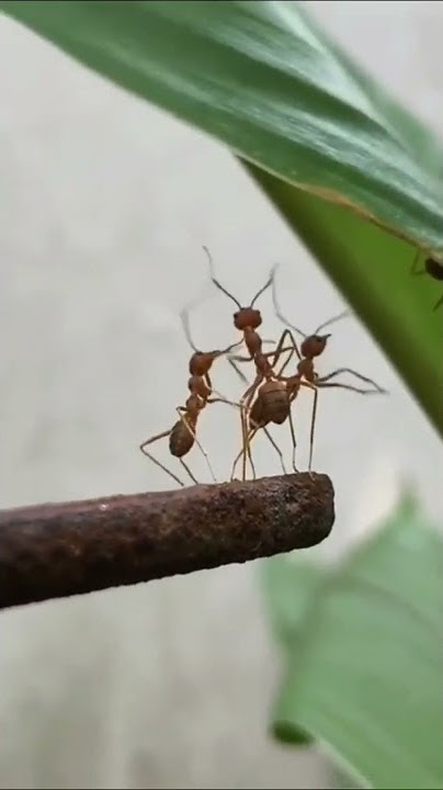 1000 kebaikan akan dilupakan dengan 1 kesalahan 😉