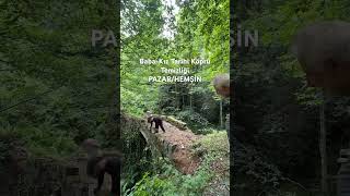 Baba - Kız Tarihi Köprü Temizliği Pazar/Hemşin